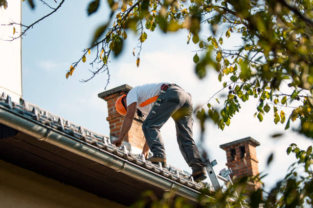 Best Roof Moss and Algae Removal  in South Bloomfield, OH