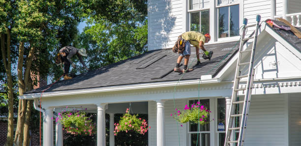 Best Chimney Flashing Repair  in South Bloomfield, OH